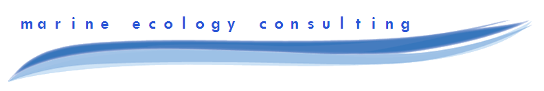 marine ecology consulting Fiji’s leading company for Coastal & Marine Ecology Assessments